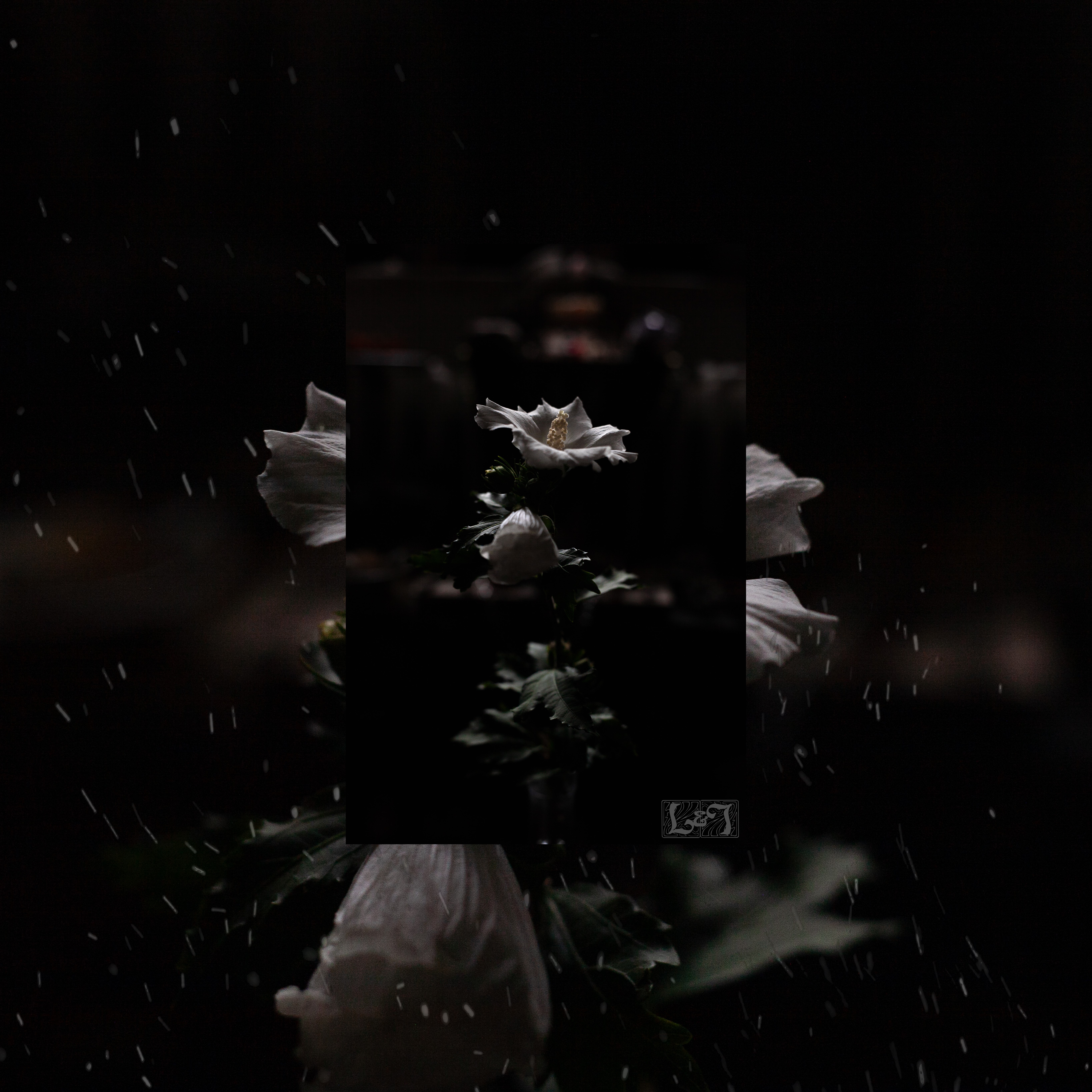 What is silence Cover